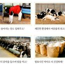 순영목장 이미지