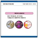 젊코 음식문화거리 이미지