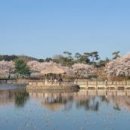 면천면보건지소 이미지