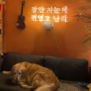 폼프리츠 이미지