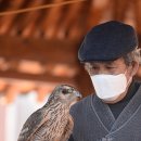 매사냥체험홍보관 이미지