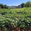 양평한울공인중개사사무소 이미지