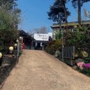 부여백제(공주) | [부여•공주] 백제 역사를 따라 다녀온 충남 힐링여행 1박2일