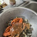 보령레포츠