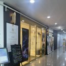 [송도 세라필의원] 난자질 개선을 위하여 (백옥 + 신데렐라 주사 후기)