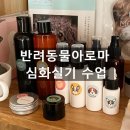 더힐테라피센터 이미지