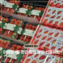 (주)이마트 둔산점 | 이마트 세일 전단지 1월 할인 행사 딸기 한우 추천상품