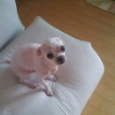 신동아(아) 이미지