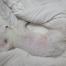 우와 뽑기방 이미지