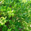 행정사권혁철사무소 이미지