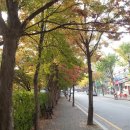 주공아파트 앞 이미지