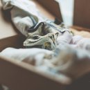 원목수납함 이미지