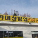 대성임업 - 삼척시 | 대성임업
