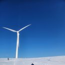 민정목장 이미지