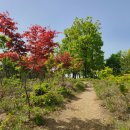 공산댐 - 공산 - ★문암산 - 구절송전망대 - 단산지 / 봉무공원 2 이미지