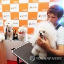 디비에스 주식회사 이미지