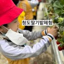 혜송유치원 이미지