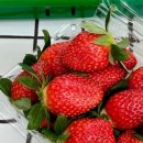 헤이리농장 이미지