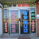 돈맛꿀꿀이