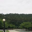 구름포해변캠핑장 네이버블로그