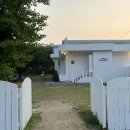 [ 고양 / 경기도 ] 노만주의 | 애견동반 정원 잔디 대형 카페 후기