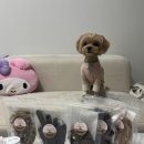 하누동물병원 이미지