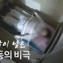 반복되는 정신병원 폐쇄병동 사망사고, 그곳에선 무슨 일이 일어나나 이미지