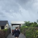 퍼피톡 | 아디다스 퍼피 실버백 구매 후기 카카오톡선물하기?