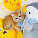 위너동물병원 이미지