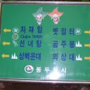 판때기