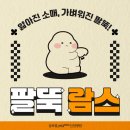 진주사 | 인천다이어트주사 팔뚝 람스 가격, 후기