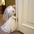 (주)영빈관 | W. 베뉴｜신라호텔 영빈관 상담후기 (26년 하반기 견적)