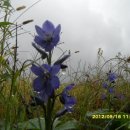 바우길 16구간 이미지