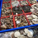 최고수산 이미지