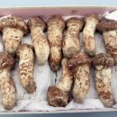 울진 농수산물