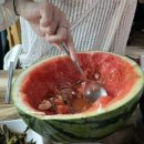 엔제리야 이미지