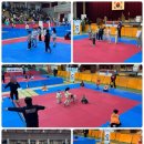 지금 용인대 국가대표 태권도장 | (파장동)용인대국가대표 신화태권도장 '피구대회'를 통해 하나 되다!!