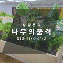 범물중학교 | 인조조경인테리어, 학교/도서관 실내정원처럼 꾸며보자! (대구 범물중학교)