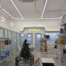 착한애견분양(원주점) | 경산애견분양 건강 관리까지 믿음이 갔던 살롱드멍냥