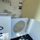 차차펫살롱 이미지