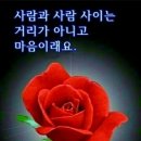 미래포차식당 이미지