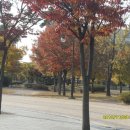 선부광장 이미지