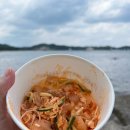 물회마세