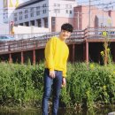 노란호랭이