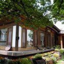 국화정원 이미지