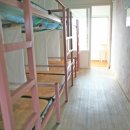 정글 게스트하우스 이미지