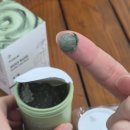 소나무약국 | [PCALM] 화제의 피캄 홀리바질 버블 딥마스크와 베리어사이클 토너패드 찐 사용후기