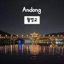 신세동노인정앞 | 안동여행 야경명소 월영교 문보트까지 즐긴 여행후기