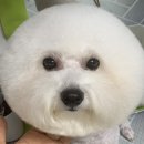 그루밍나인 이미지