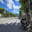 GS25평창방림점 이미지